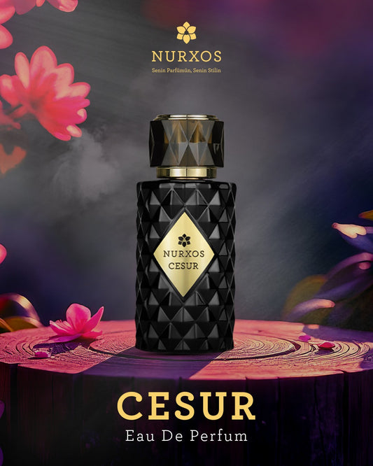 🔥 Courageous Eau De Parfum – Nurxos (100ML)