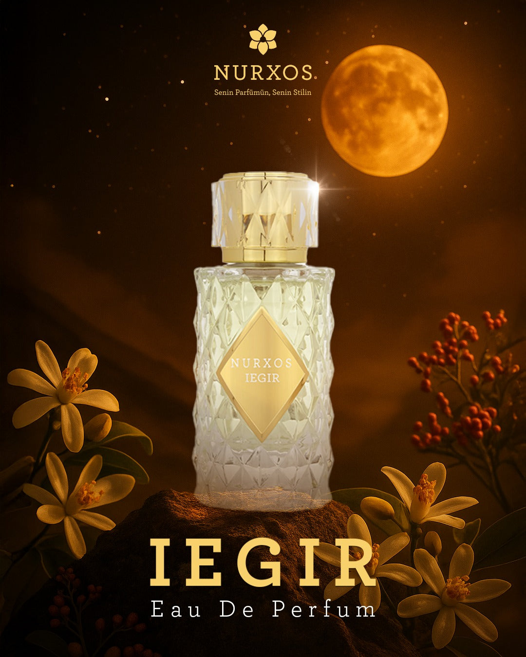 🌙✨ Iegir Perfume – Moon by Nurxos (65ML)