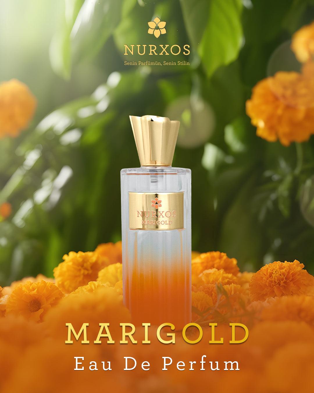 Marigold  perfume – Nurxos