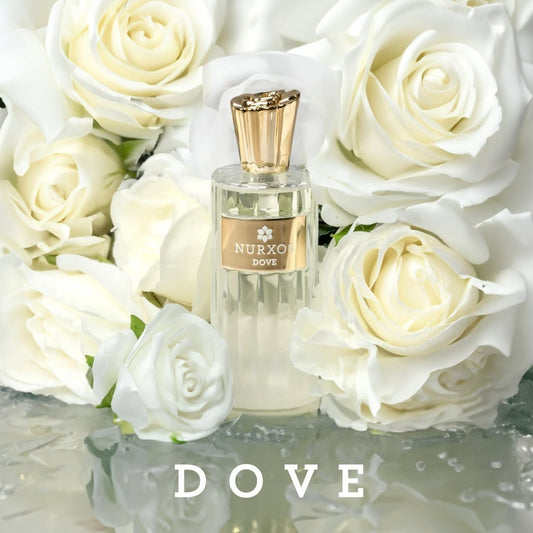 ✨ عطر DOVE من نوركسس – لمسة انتعاش من الطبيعة ✨