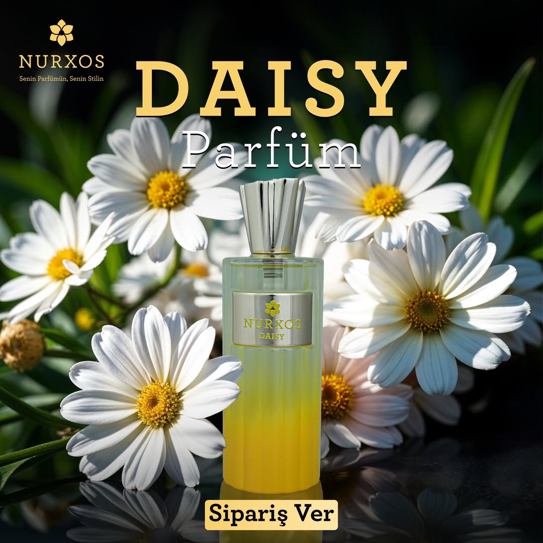 🌼 Daisy 100ML EDP من NURXOS – الإصدار الجديد! 🌼