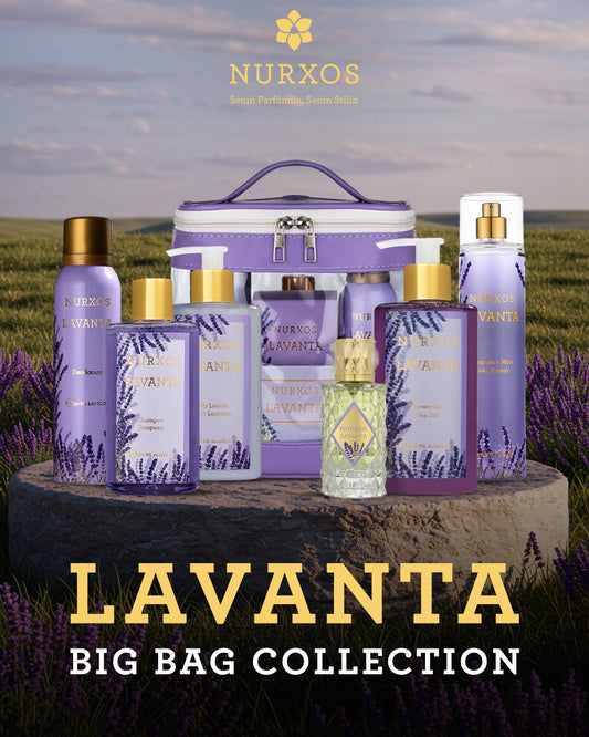 مجموعة لافانتا – الحقيبة الكبيرة